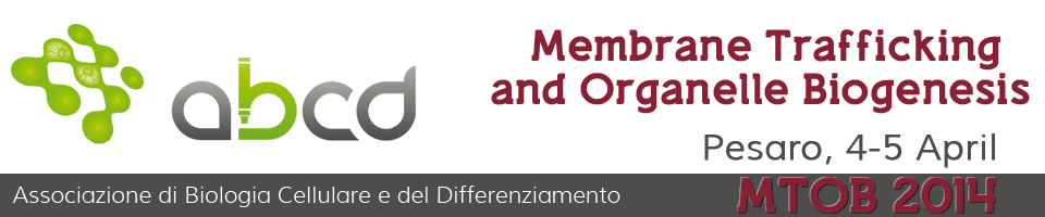 MTOB 2014 header